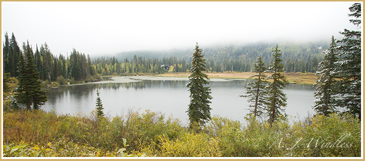 A view across the mountain lake amidst fall fir trees and a sprinkle of aspen.