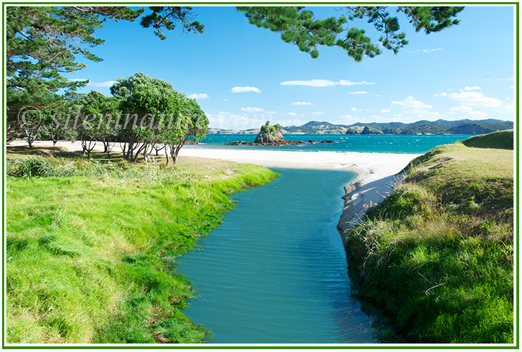 A small stream flows onto a scenic New Zealand beach.