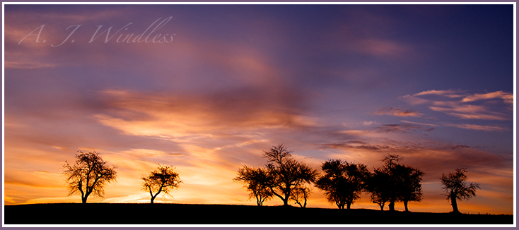 Apple trees line the top of the hill while the sunset flares colors in the clouds above.