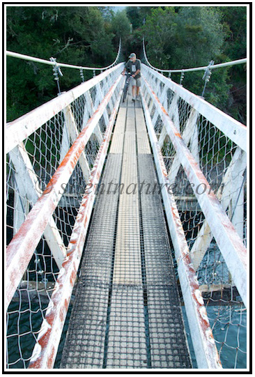 A traveler walks his bicycle across a scenic bridge.