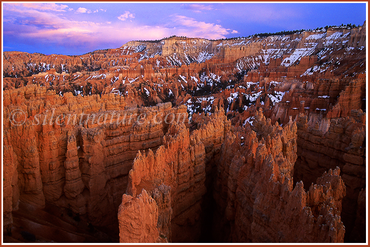 Bryce Skyscrapers