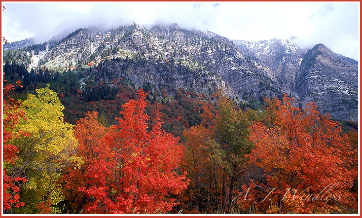 Brilliant fall colors front the face of this mountain of stone.