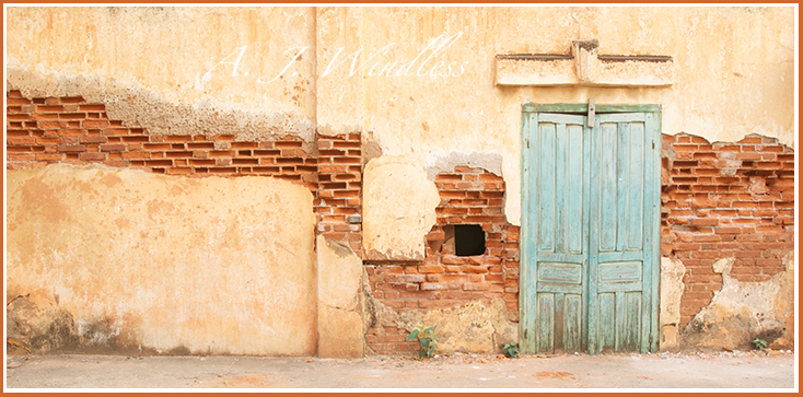 Beautiful brick exposed as this house with a hole in the wall begins to crumble.