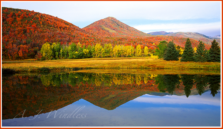 This hillside of autumn foilage is reflected beautifully in a small lake.