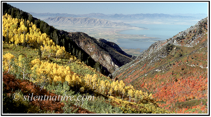 Autumn Mountain View