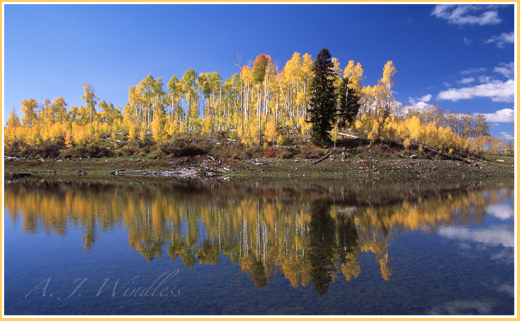 The next generation of fall colors is already on the ground.