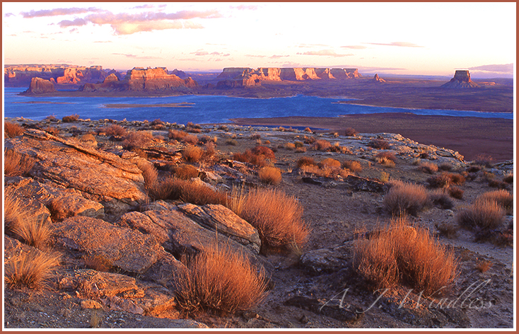 Overlooking Lake Powel from on the cliffs at sunset.