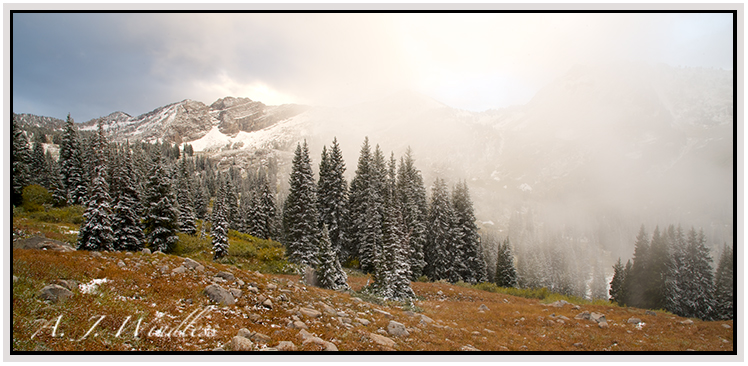 Clouds drift through the valley and rise to the mountains crest passing through Douglas fir freshly sprinkled with snow. 