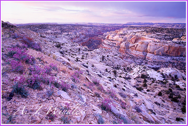 San Rafael Swell