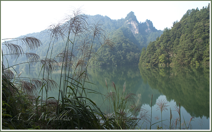 Rieds decorate the view from this Chinese reservoir with reflections on the water and mountains rising on the opposite side.