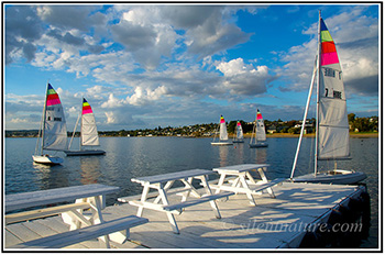 This is the thumbnail for my New Zealand North Island. It is a picture of six beautiful white sailboats in harbor with a white picnic table in the foreground.