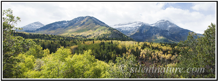 Mt. Timpanogas