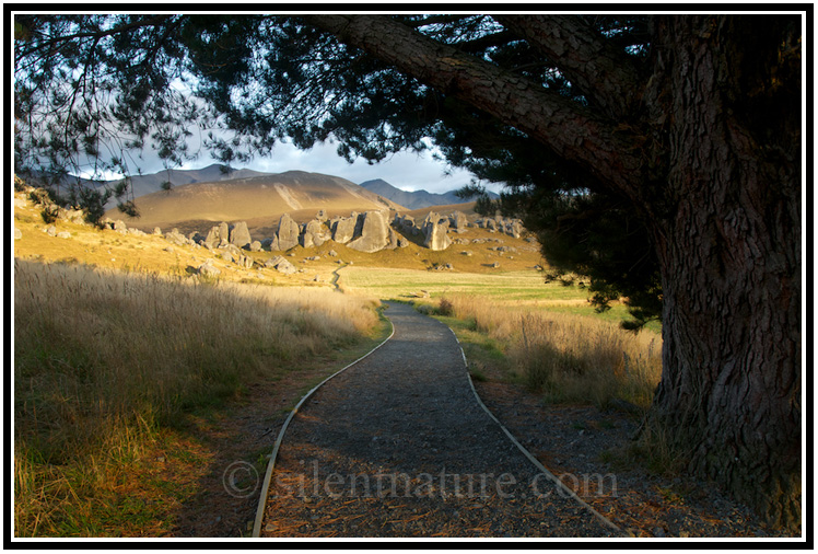 At sunrise this trail runs under the tree and toward the rock formations.