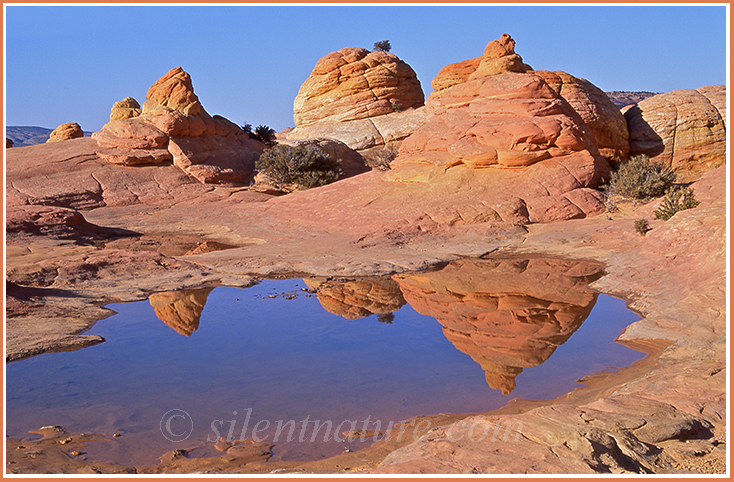 Water in the Desert